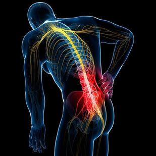 bol u kralježnici zglobova i mišića
